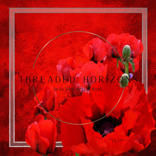 Crimson Field | Threaded Horizons Silk Scarf